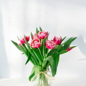 12 Scarlet Red Dutch Roses Bouquet